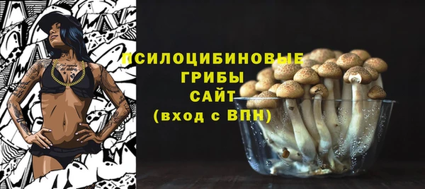 шишки Алексин