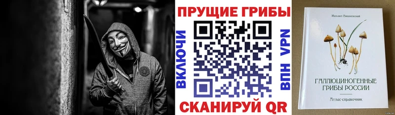 цены   Саянск  Псилоцибиновые грибы MAGIC MUSHROOMS 